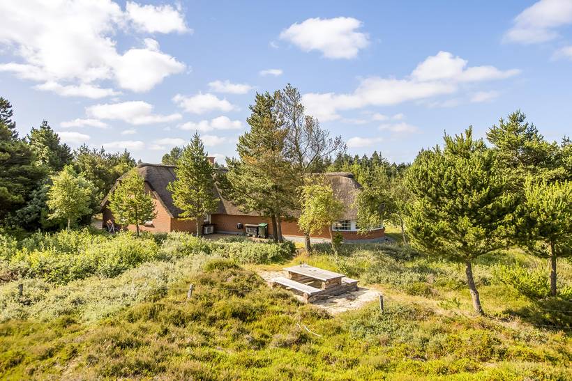 Foto von Ferienhaus AK53 in Kongsmark - Rømø