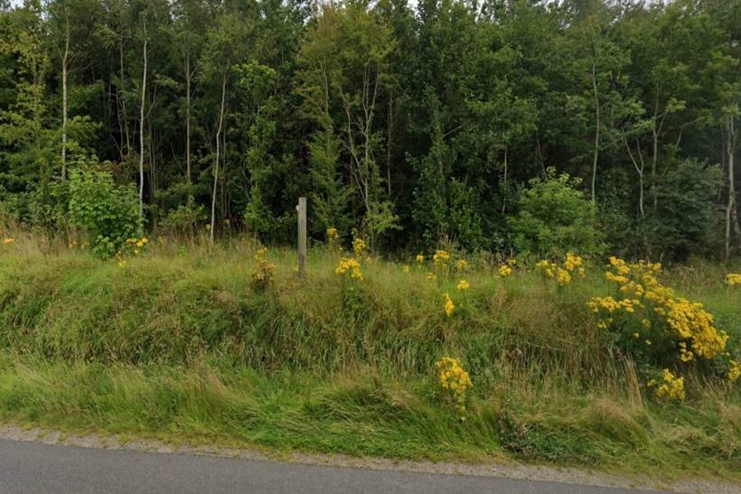Foto von Ferienhaus AK80 in Kvie Sø - Westjütland