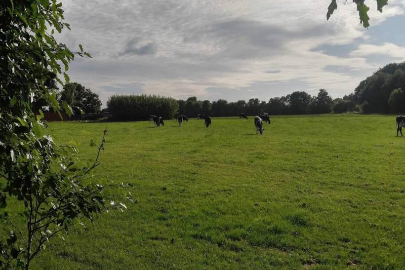 Foto von Ferienhaus AK80 in Kvie Sø - Westjütland