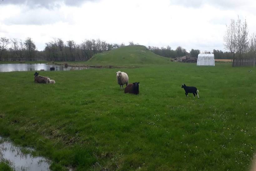 Foto von Ferienhaus AK80 in Kvie Sø - Westjütland