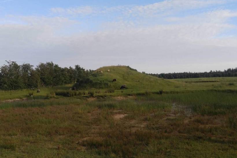 Foto von Ferienhaus AK80 in Kvie Sø - Westjütland