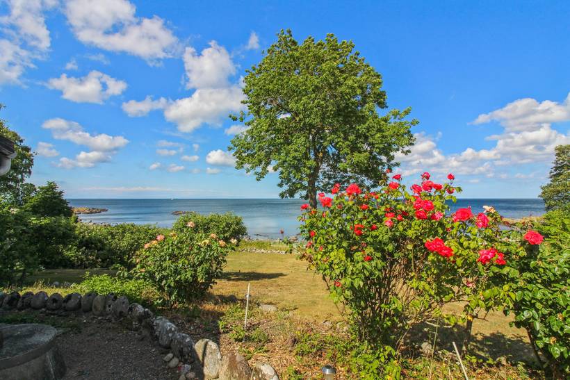 Foto von Ferienhaus AL12 auf Svaneke - Bornholm