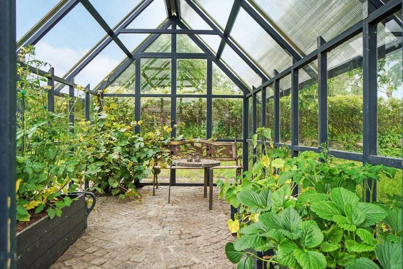 Foto von Ferienhaus AL53 auf Skulderslev - Nordseeland