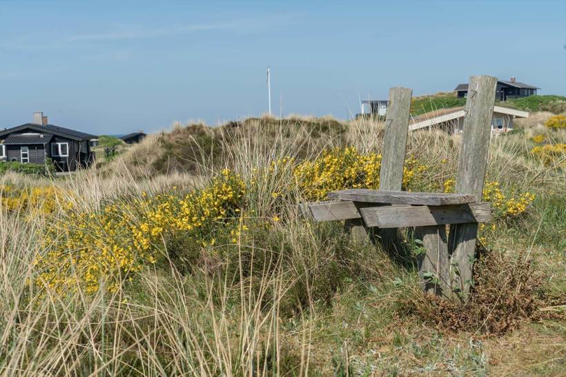 Foto von Ferienhaus AL58 in Henne Strand - Westjütland