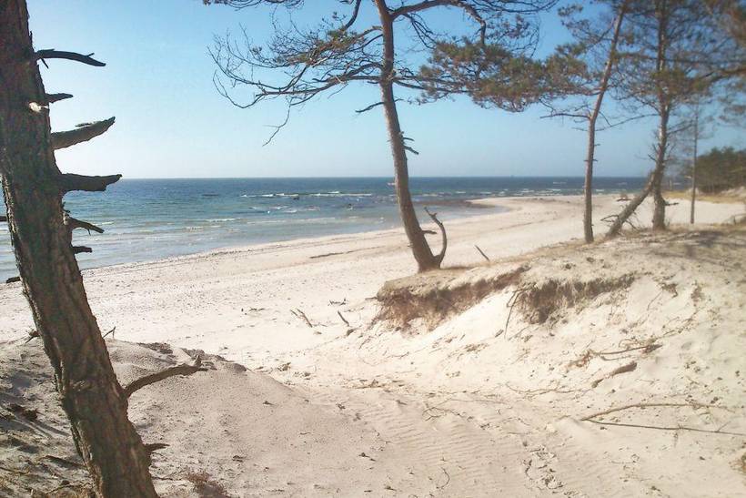 Foto von Ferienhaus AL84 in Dueodde - Bornholm