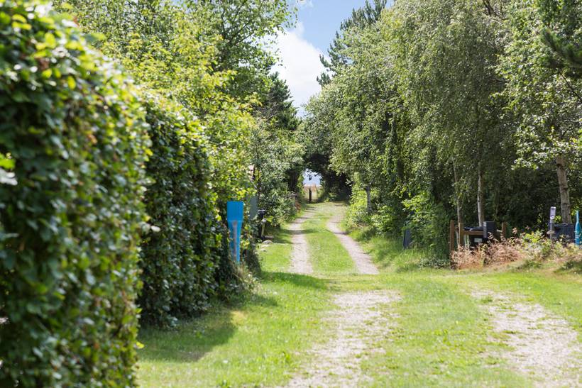 Foto von Ferienhaus AM30 in Helligsø - Thy/Limfjord
