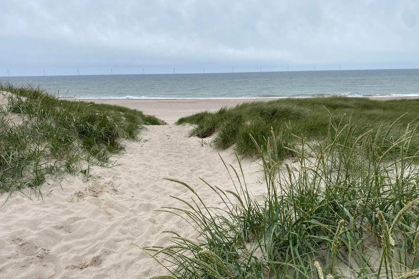 Foto von Ferienhaus AN43 in Vrist - Vejlby Klit - Westjütland