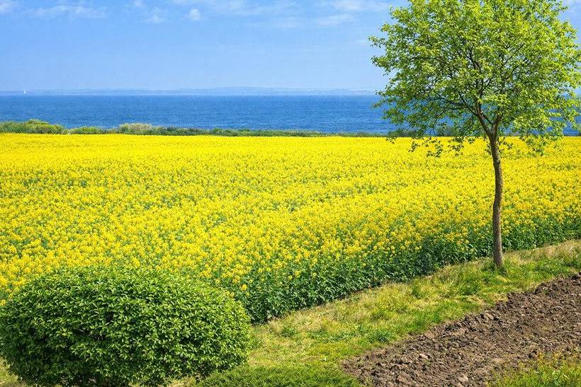Foto von Ferienhaus AN91 auf Havnbjerg - Als