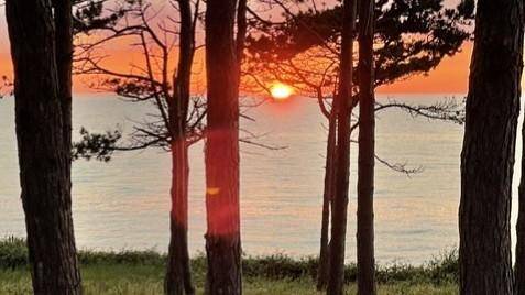 Foto von Ferienhaus AN92 in Gilleleje - Nordseeland