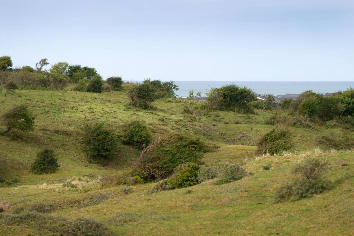 Foto von Ferienhaus AO01 in Skallerup Klit - Lønstrup - Nordjütland