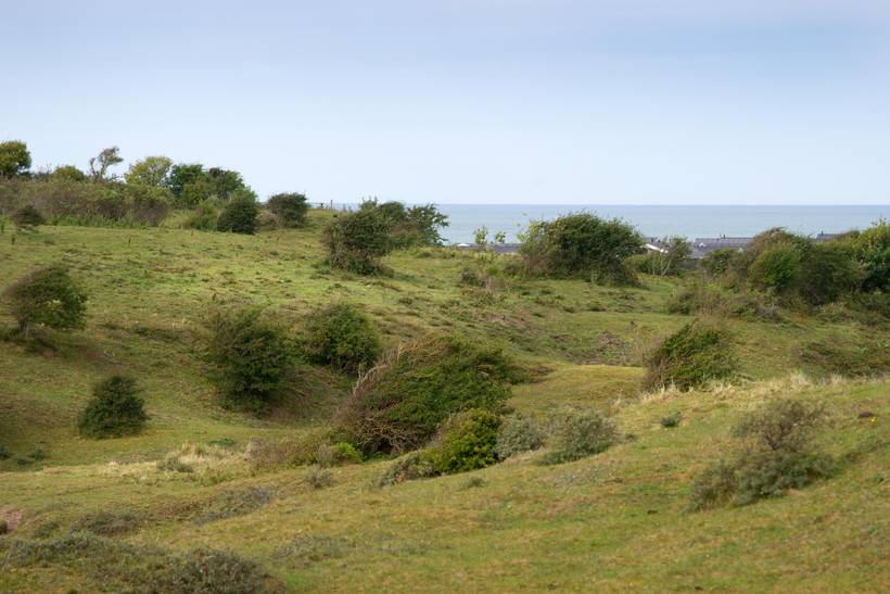 Foto von Ferienhaus AO01 in Skallerup Klit - Lønstrup - Nordjütland