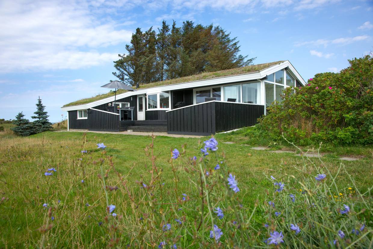 Foto von Ferienhaus AO01 in Skallerup Klit - Lønstrup - Nordjütland