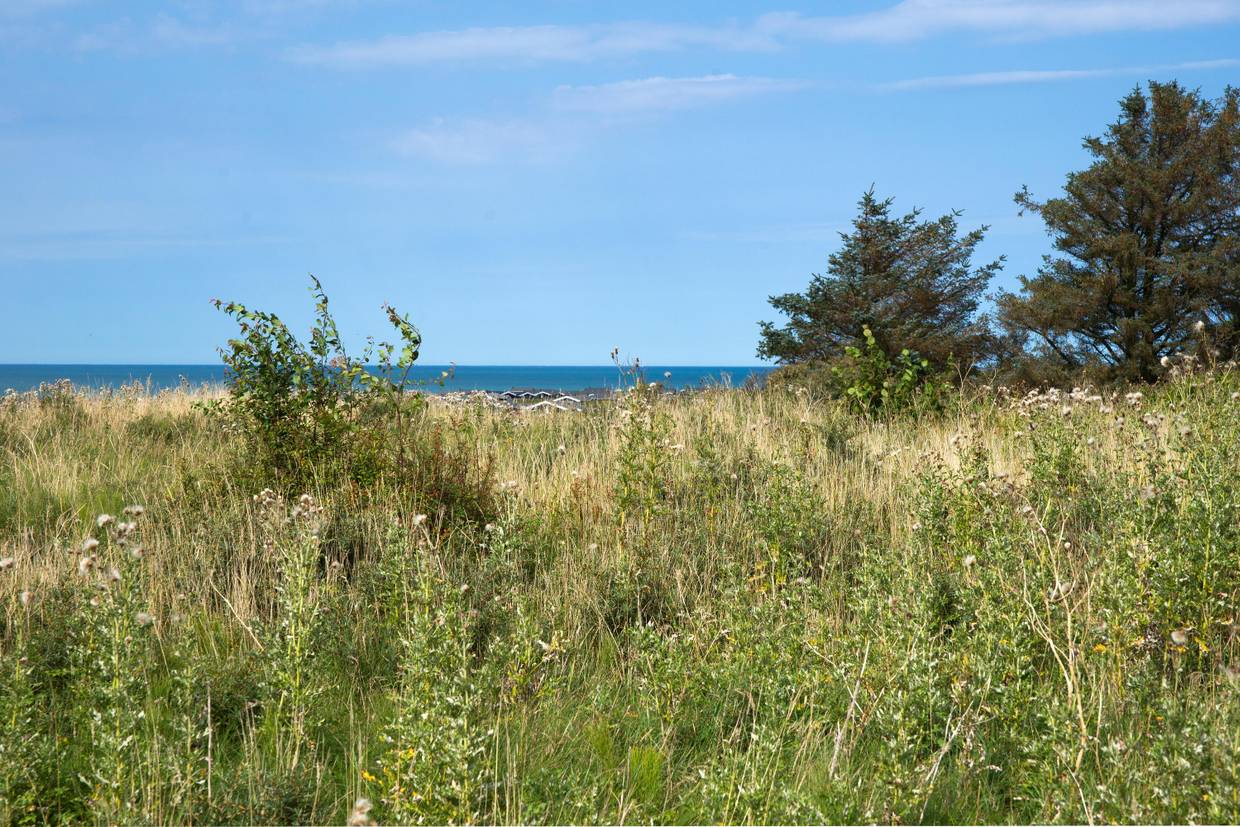 Foto von Ferienhaus AO01 in Skallerup Klit - Lønstrup - Nordjütland