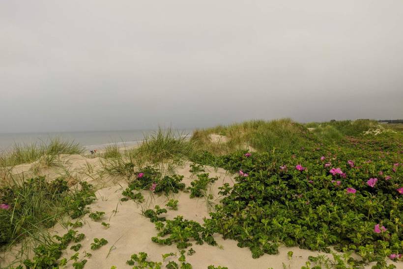 Foto von Ferienhaus AO12 in Blåvand - Westjütland