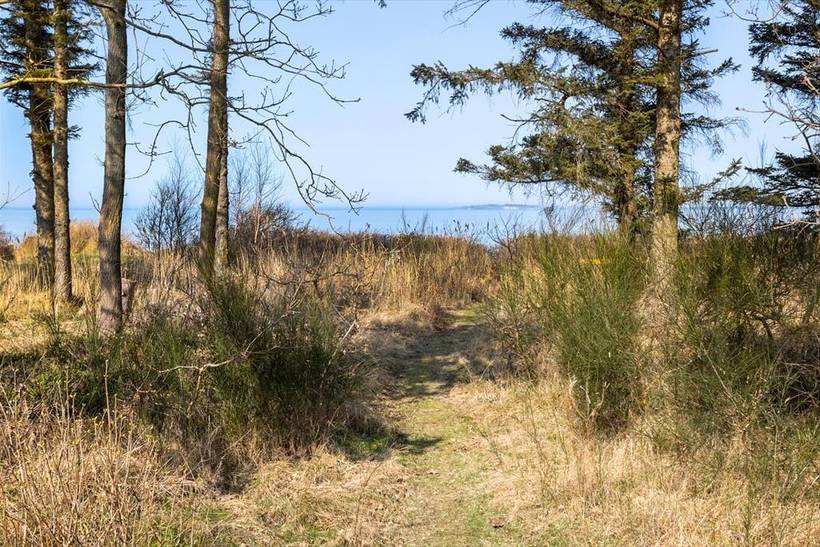 Foto von Ferienhaus AO24 in Sælvig - Samsø