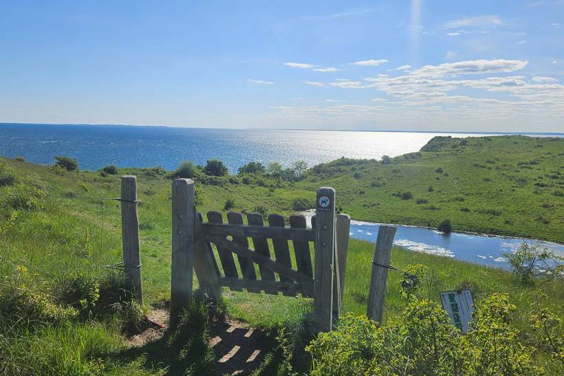 Foto von Ferienhaus AO50 in Vejby - Tisvildeleje - Nordseeland