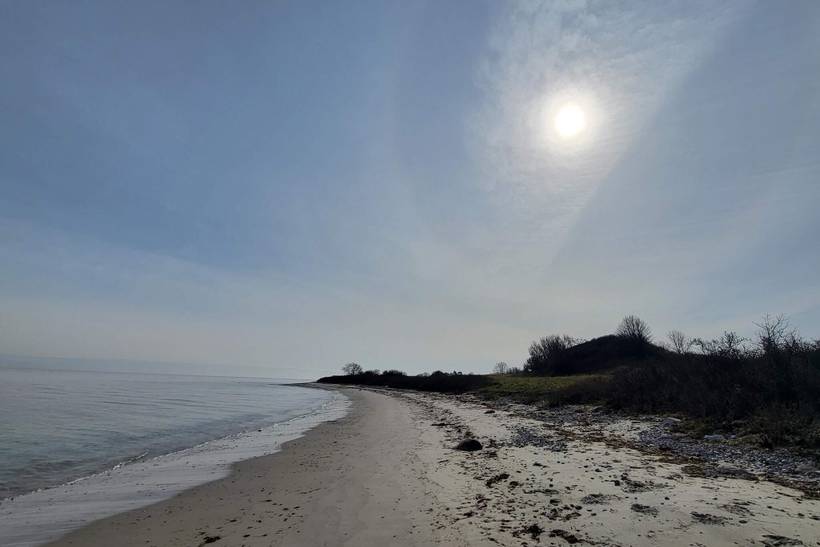 Foto von Ferienhaus AO50 in Vejby - Tisvildeleje - Nordseeland
