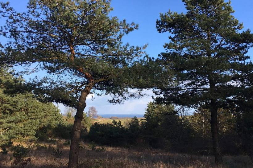 Foto von Ferienhaus AO50 in Vejby - Tisvildeleje - Nordseeland
