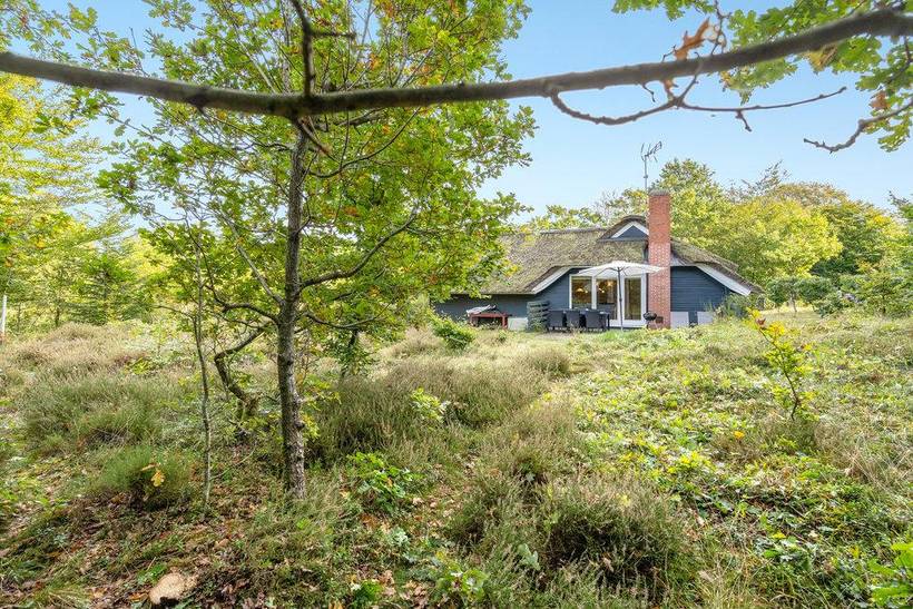 Foto von Ferienhaus AO51 in Fjellerup - Ostjütland