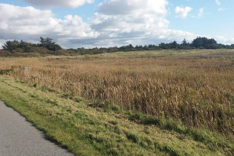 Foto von Ferienhaus AO96 in Søndervig - Westjütland