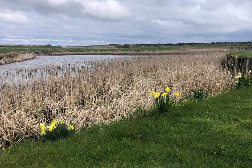 Foto von Ferienhaus AO96 in Søndervig - Westjütland