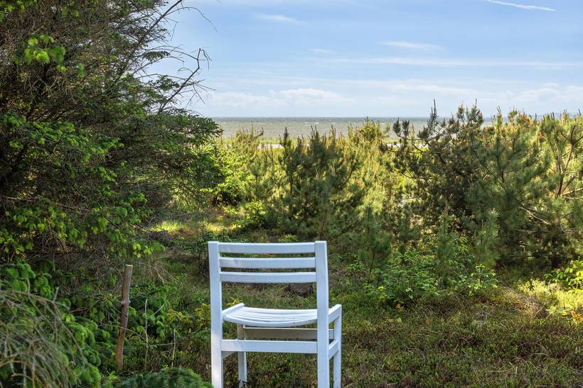 Foto von Ferienhaus AP24 in Trend - Thy/Limfjord