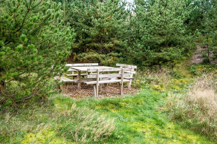 Foto von Ferienhaus AQ15 in Saltum - Blokhus - Nordjütland