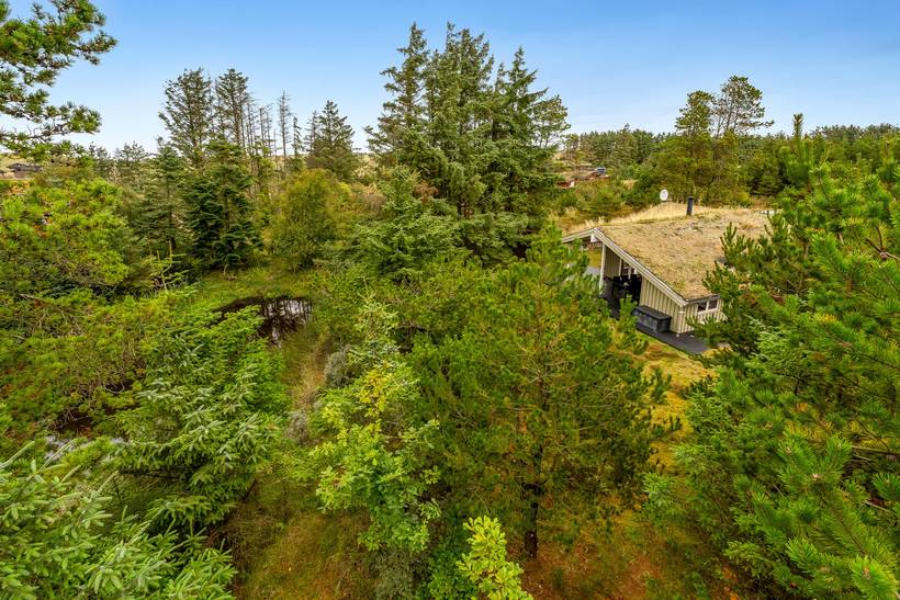 Foto von Ferienhaus AQ15 in Saltum - Blokhus - Nordjütland