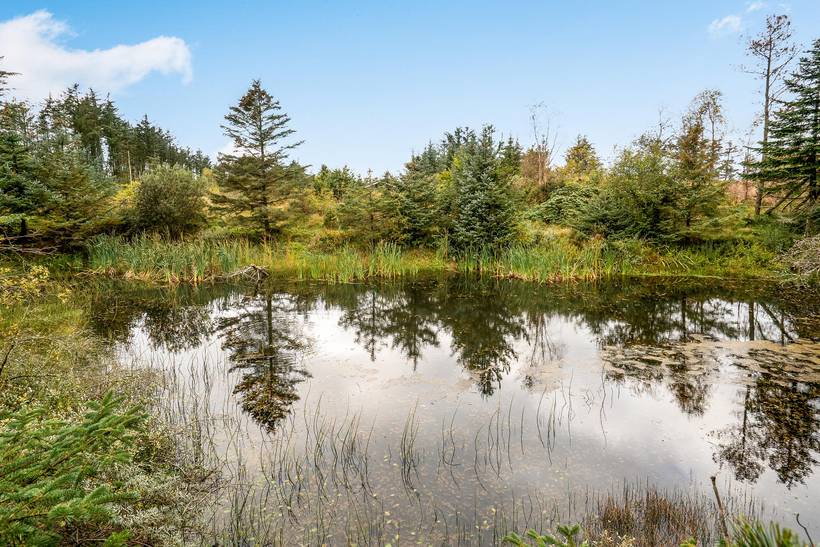 Foto von Ferienhaus AQ15 in Saltum - Blokhus - Nordjütland