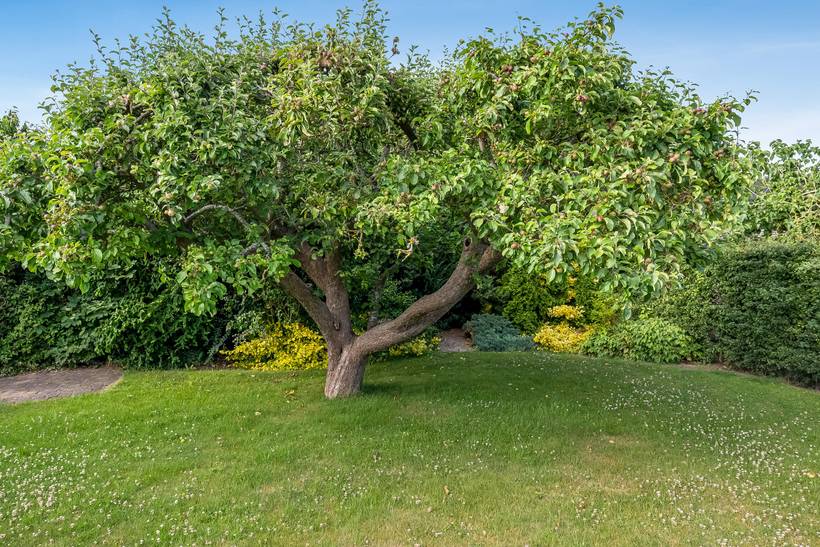 Foto von Ferienhaus AQ62 in Ajstrup - Odder - Ostjütland