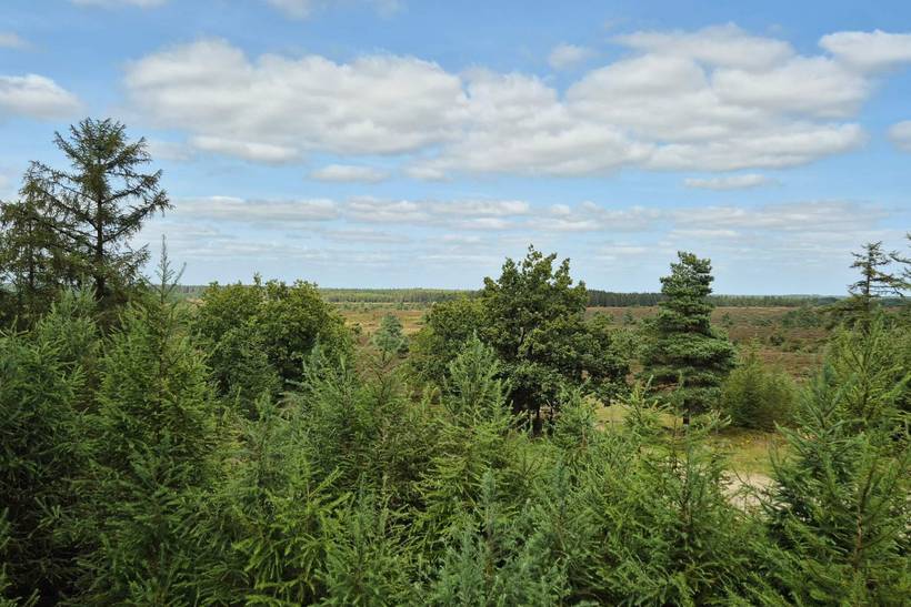 Foto von Ferienhaus AQ63 in Hovborg - Westjütland