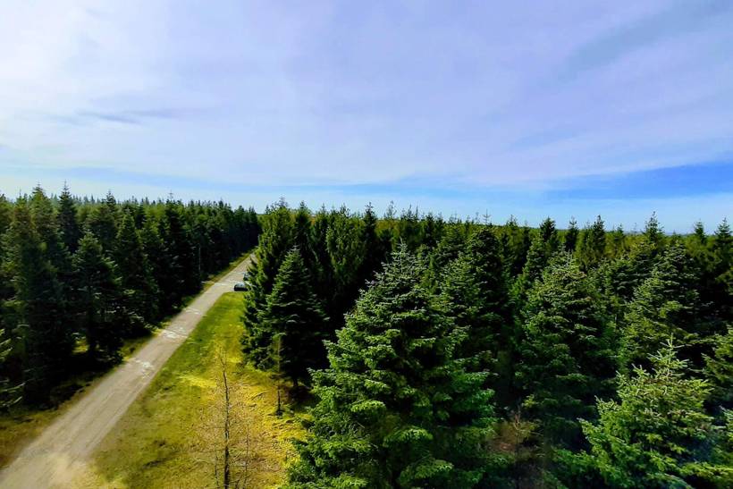 Foto von Ferienhaus AQ63 in Hovborg - Westjütland