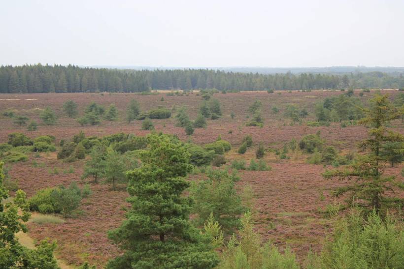 Foto von Ferienhaus AQ63 in Hovborg - Westjütland