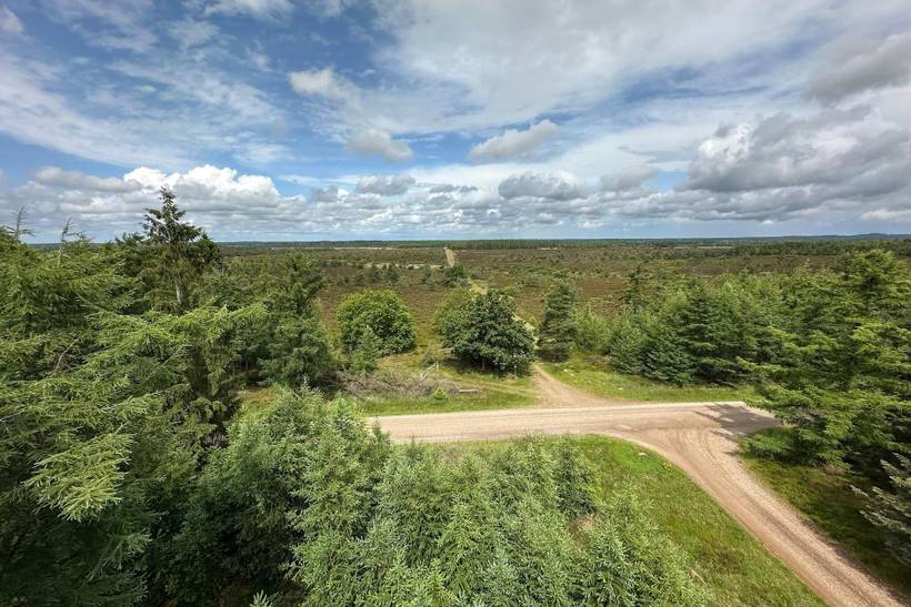 Foto von Ferienhaus AQ63 in Hovborg - Westjütland