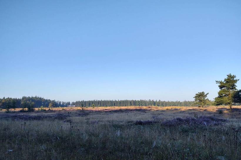 Foto von Ferienhaus AQ63 in Hovborg - Westjütland