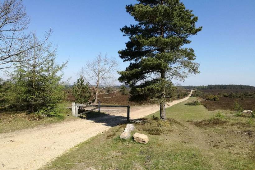 Foto von Ferienhaus AQ63 in Hovborg - Westjütland