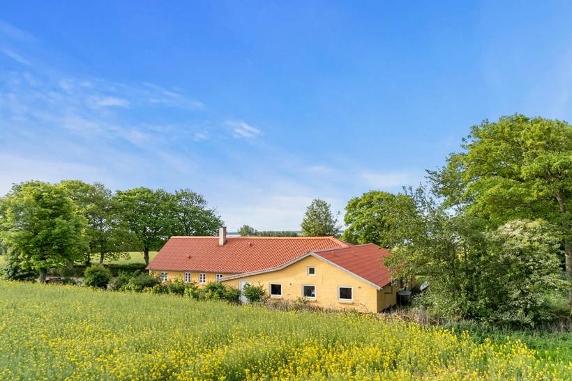 Foto von Ferienhaus AQ94 auf Mors - Thy/Limfjord