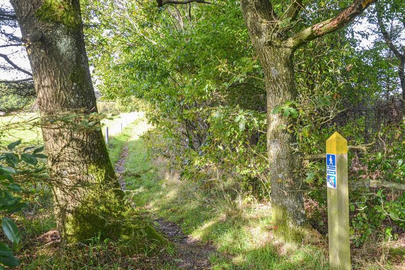 Foto von Ferienhaus AR19 in Hovborg - Westjütland