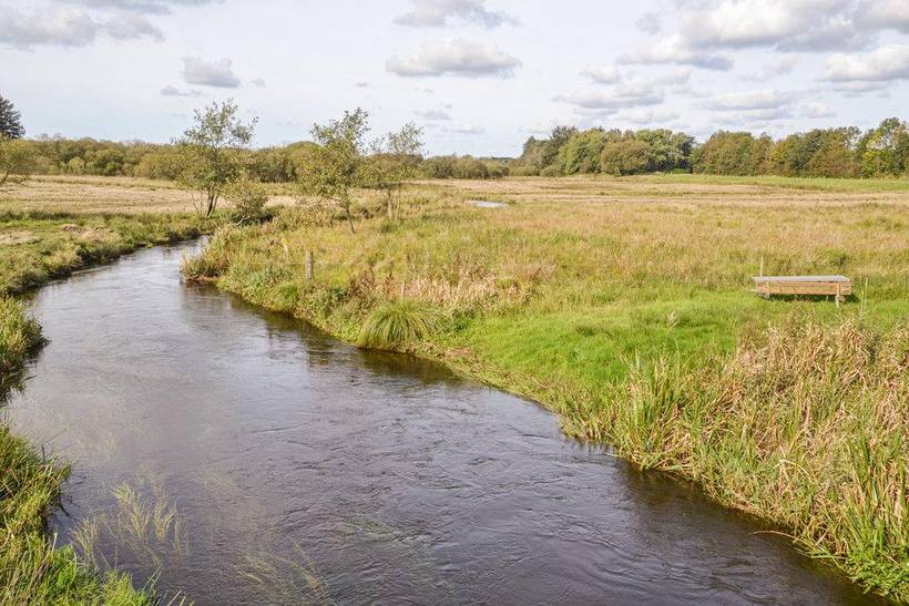 Foto von Ferienhaus AR19 in Hovborg - Westjütland