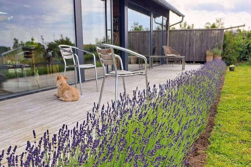Foto von Ferienhaus AR23 in Hjarbæk - Thy/Limfjord