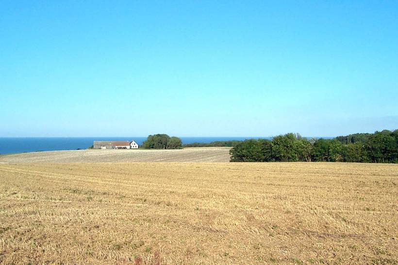 Foto von Ferienhaus AR55 auf Gudhjem - Bornholm