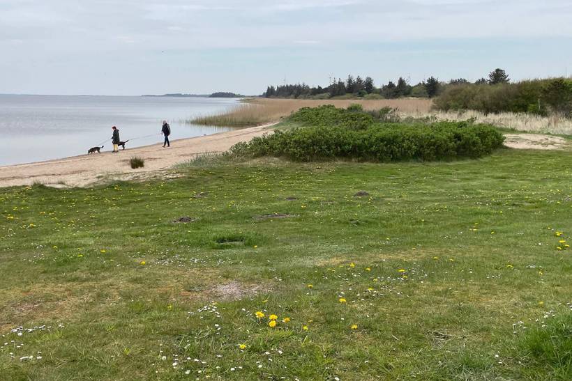 Foto von Ferienhaus AR62 in Bork Havn - Westjütland