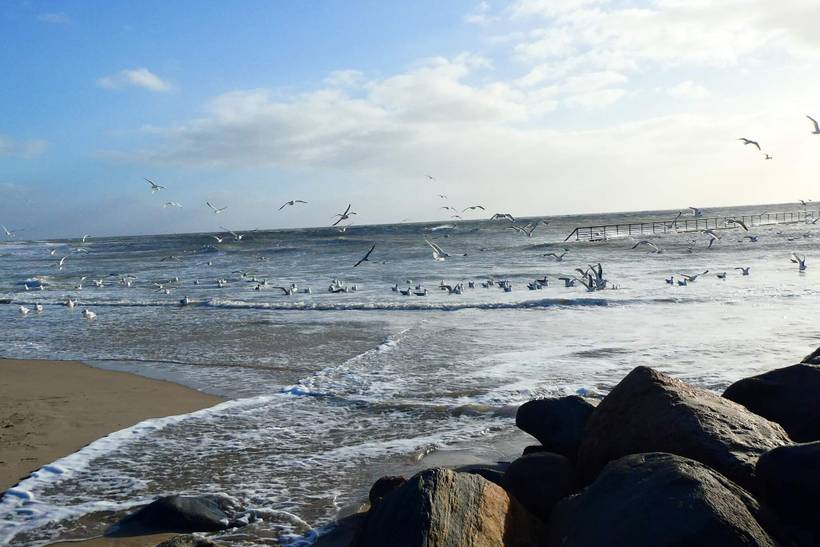 Foto von Ferienhaus AR82 in Blåvand - Westjütland