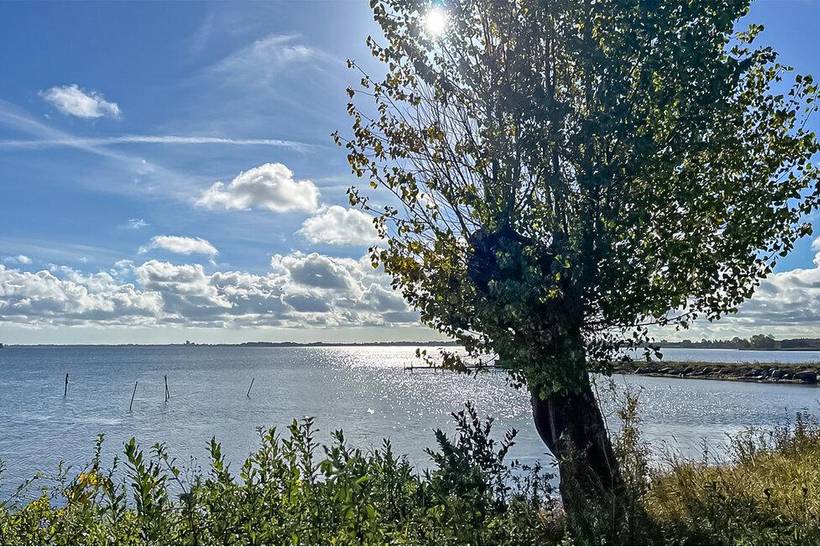 Foto von Ferienhaus AR96 auf Sortsø - Falster