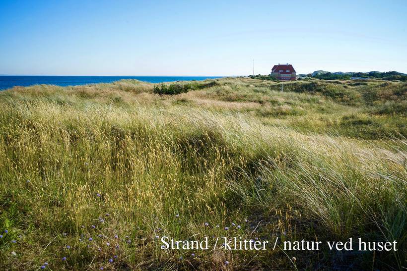 Foto von Ferienhaus AS20 in Vesterby - Skagen - Nordjütland