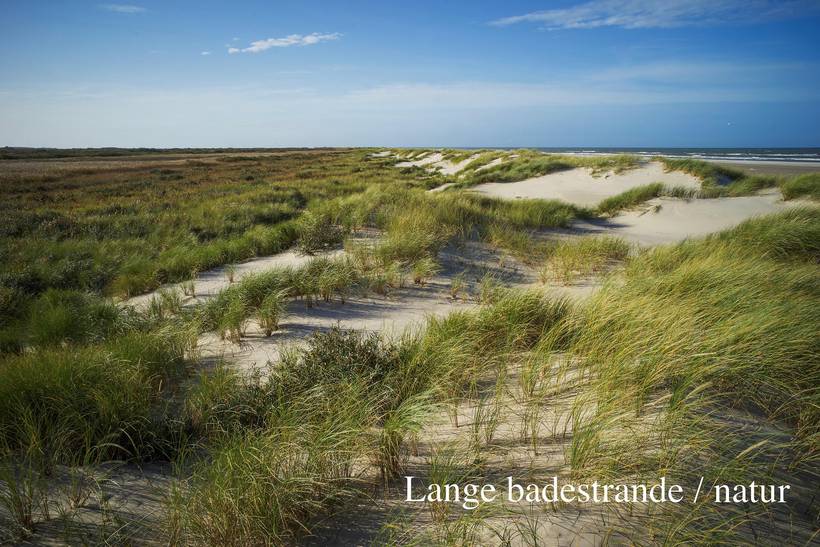 Foto von Ferienhaus AS20 in Vesterby - Skagen - Nordjütland