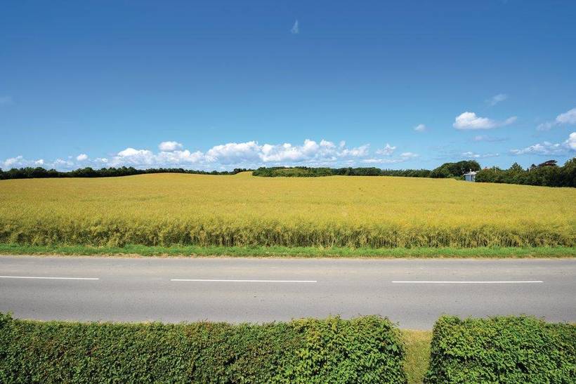 Foto von Ferienhaus AS78 auf Sdr. Longelse - Langeland