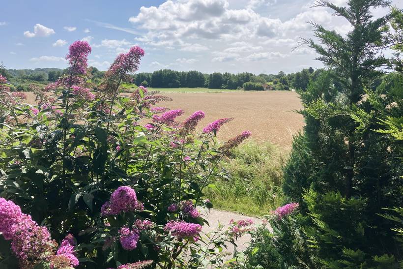 Foto von Ferienhaus AU11 auf Fåborg - Südfünen