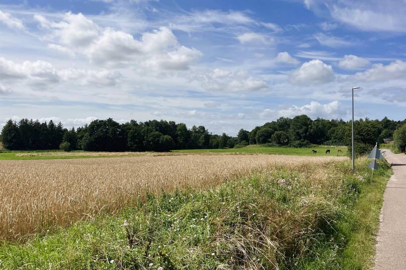 Foto von Ferienhaus AU11 auf Fåborg - Südfünen