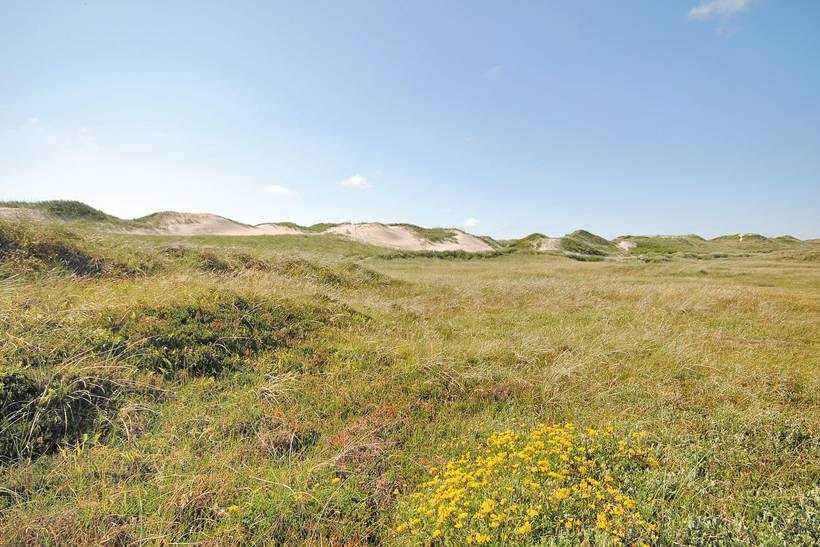 Foto von Ferienhaus AU53 in Klegod - Westjütland